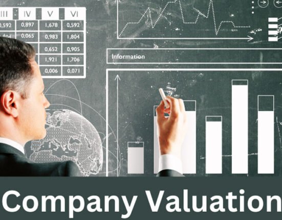 Company, Business, and Equity Valuation